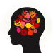 cerveau